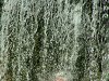 [������� �� ���� ��� ����������]