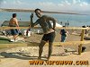 [������� �� ���� ��� ����������]
